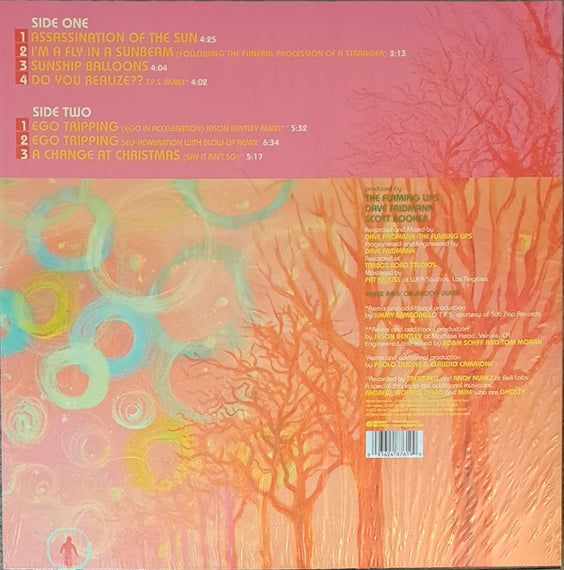 The Flaming Lips : Ego Tripping At The Gates Of Hell (12