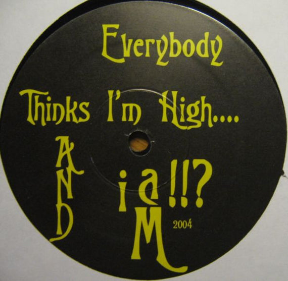 DJ Demonixx : Everybody Thinks I'm High...And I Am (The 2004 Remixes) (12")