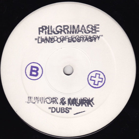 Pilgrimage : Land Of Ecstasy (Junior & Murk Mixes) (12", M/Print, W/Lbl)