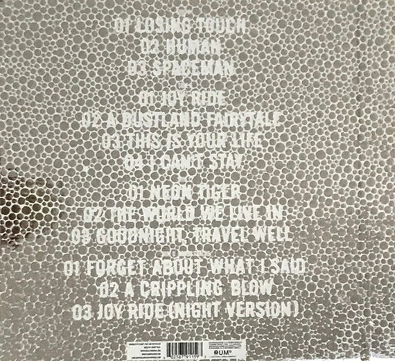 The Killers : Day & Age (2xLP, Album, Ltd, RE, RM, Sil)