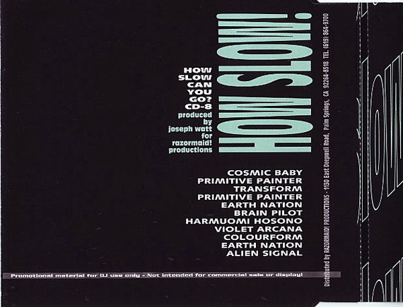 Various : ...Maid! How Slow Can You Go? #8 (CD, Comp)