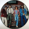 The Who : Who Are You (LP, Album, Pic)