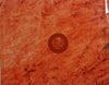 Various : Harthouse Compilation Chapter 7 - Scorch The Sky (1.327 Days) (CD, Comp)