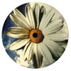 Daisy Glow : Give It All (12")
