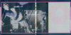 ネイキッド・シティー* = Naked City : 拷問天国 = Torture Garden (CD, Album)