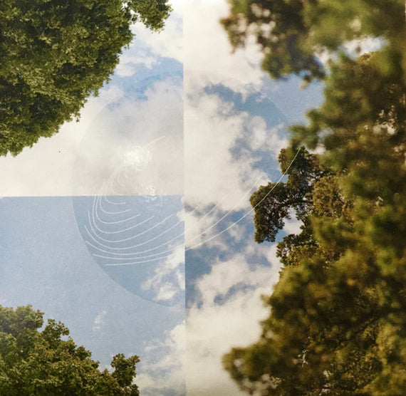 Field Works : Maples, Ash, and Oaks: Cedars Instrumentals (CD, Album)