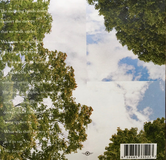 Field Works : Maples, Ash, and Oaks: Cedars Instrumentals (CD, Album)