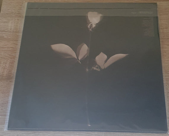 Depeche Mode : Violator Live (3xLP, RE, Unofficial, Bla)