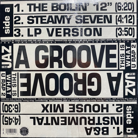 The Jaz : A Groove (This Is What U Rap 2) (12")