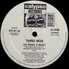 Thru Box : Do What U Want (12")