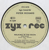 Peter Richard : Walking In The Neon (Club Version) (12")