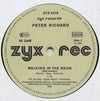 Peter Richard : Walking In The Neon (Club Version) (12")