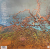 Molly Tuttle & Golden Highway : Crooked Tree (LP)