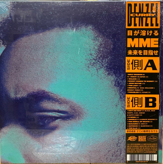 Denzel Curry : Melt My Eyez See Your Future (LP, Album)