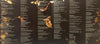 Cavetown : Worm Food (LP, Album, Ltd, M/Print, S/Edition, Eve)