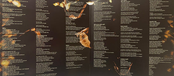 Cavetown : Worm Food (LP, Album, Ltd, M/Print, S/Edition, Eve)