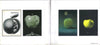 Various : Come And Get It (The Best Of Apple Records) (CD, Comp, Mono, RM)