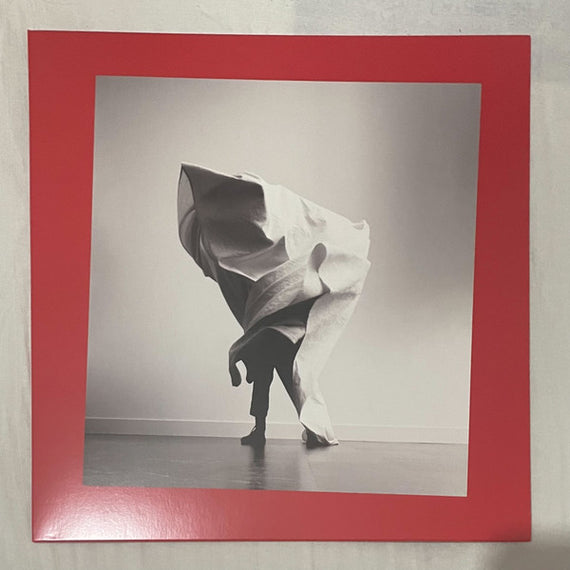 Mother Mother : Grief Chapter (LP, Album, Bla)