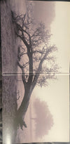 Gary Clark Jr. : JPEG RAW (LP, Bon + LP, S/Sided, Etch, Bon + Album)