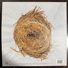 Wilco : A Ghost Is Born (2xLP, Album, RE, Whi)