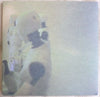 George Harrison : Brainwashed (CD, Album + DVD-V, NTSC + Box)