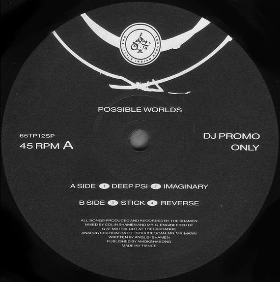 The Shamen : Possible Worlds (12", Promo)