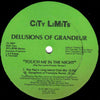 Delusions Of Grandeur : Touch Me In The Night (12")