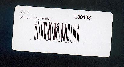 Visionary : You Can't Surrender (12")