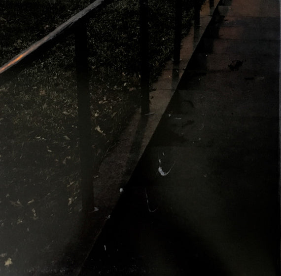 The Tallest Man On Earth : Dark Bird Is Home (LP, Album)