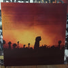 Disturbed : Ten Thousand Fists (2xLP, Album, RE)
