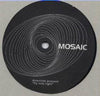 Downlink : Fly Into Light (12")