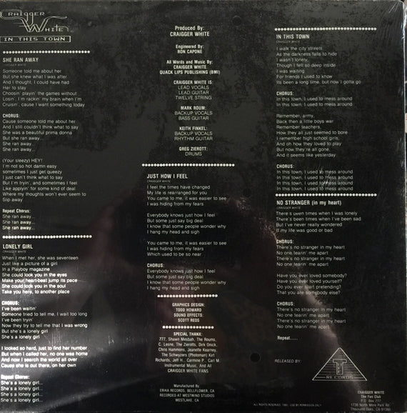 Craigger White : In This Town (LP, Album)