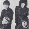 Ramones : Animal Boy (CD, Album)