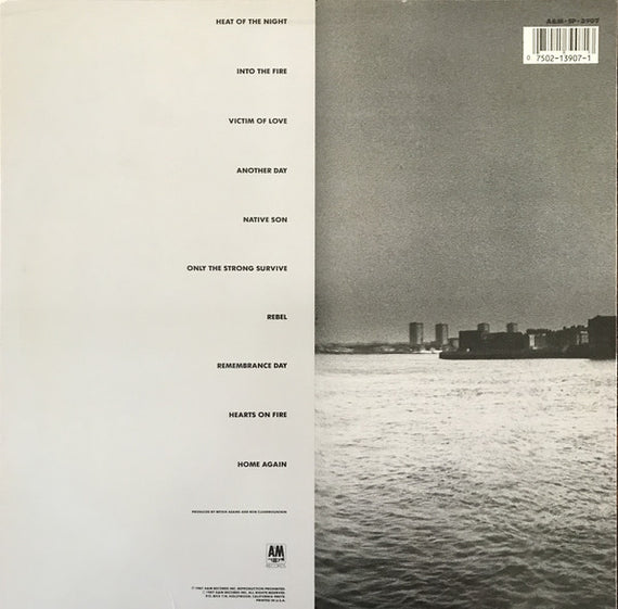 Bryan Adams : Into The Fire (LP, Album, Ind)