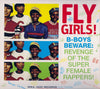 Various : Fly Girls! (B-Boys Beware: Revenge Of The Super Female Rappers!) (2xCD, Comp)