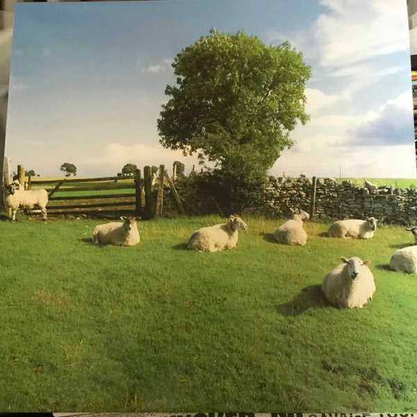 klf chill ストア out レコード