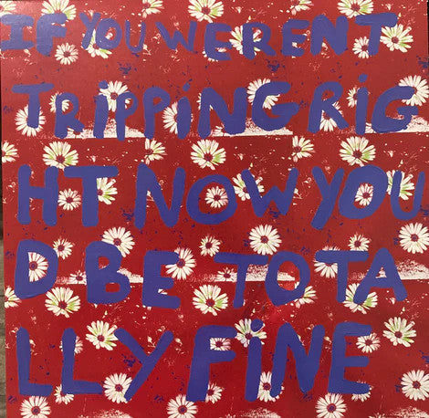 Lucy Arnell : If You Weren't Tripping Right Now You'd Be Totally Fine (12", EP)