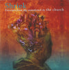 The Church : Shriek (Excerpts From The Soundtrack) (CD, Album)