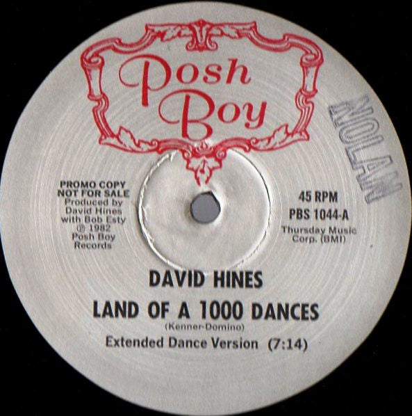 David Hines : Land Of A 1000 Dances (12", Promo)