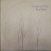 Fleetwood Mac : Bare Trees (LP, Album, RP, San)
