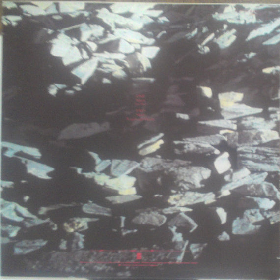 Echo & The Bunnymen : Silver (Tidal Wave) (12")